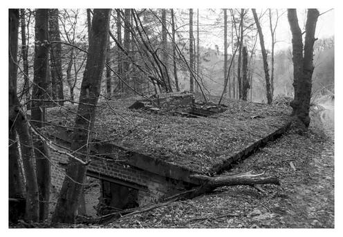 Dynamitfabrik-Sterbecketal-0002