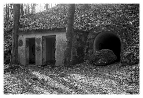 Dynamitfabrik-Sterbecketal-0009