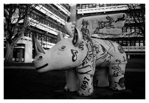 Flügelnashorn EF 50
